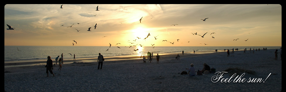 Ein Blick auf Florida