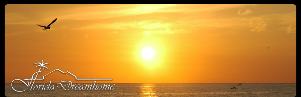 Ein Blick auf Florida