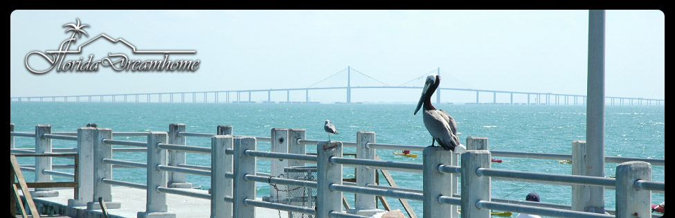 Ein Blick auf Florida