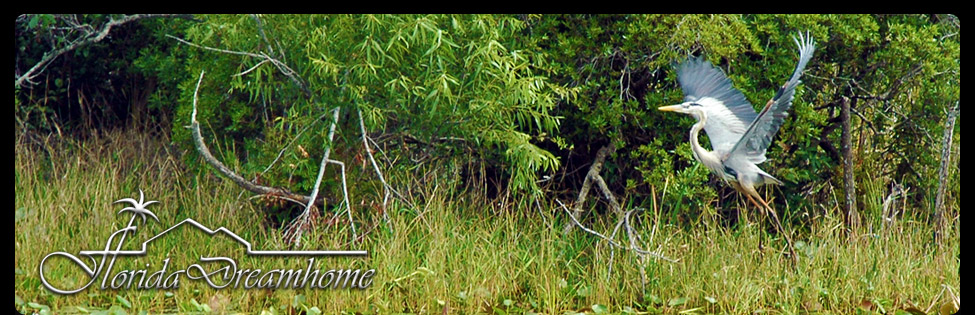 Ein Blick auf Florida