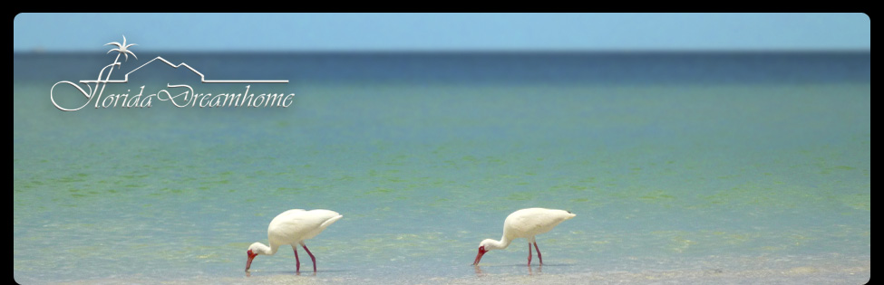 Ein Blick auf Florida