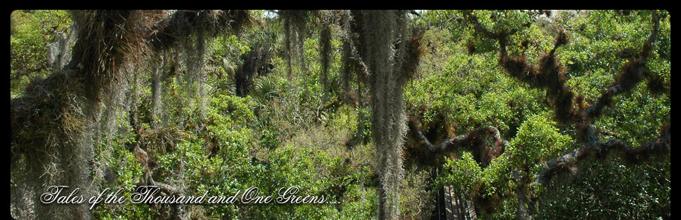 Ein Blick auf Florida