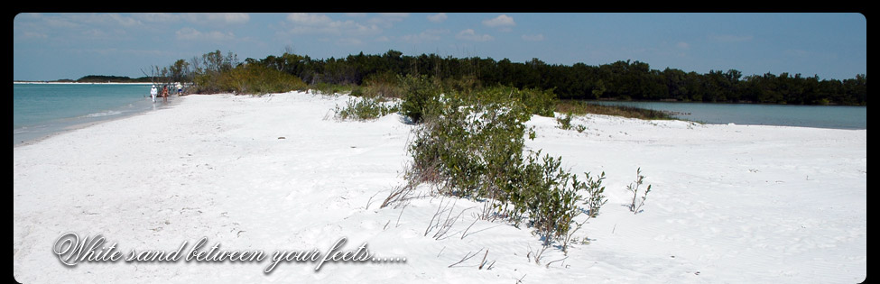 Ein Blick auf Florida