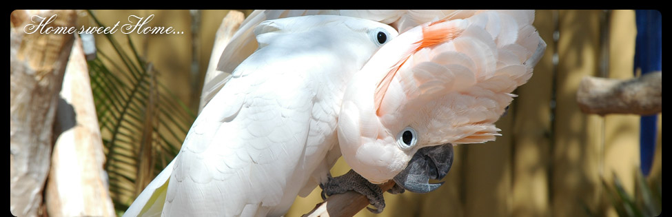 Ein Blick auf Florida