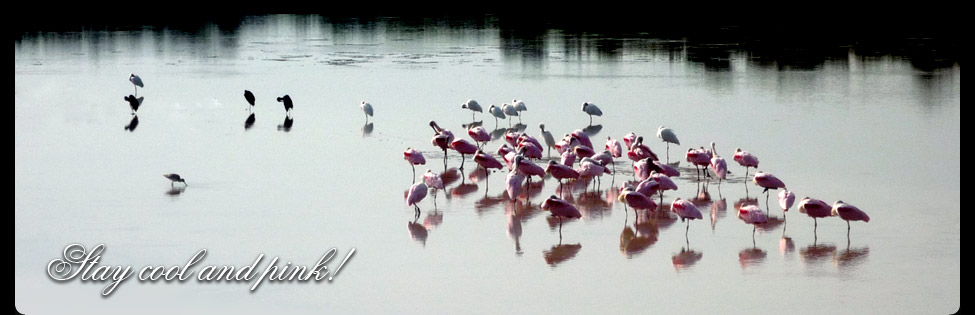 Ein Blick auf Florida