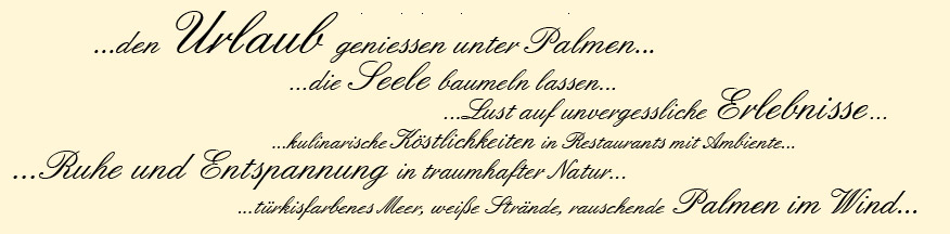 Willkommen auf floridadreamhome.de